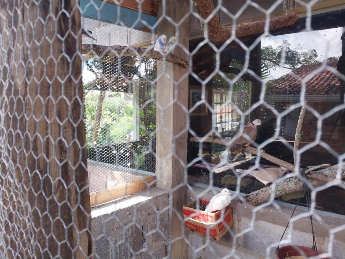 Pousada Beija Flor Extrema Ngoại thất bức ảnh